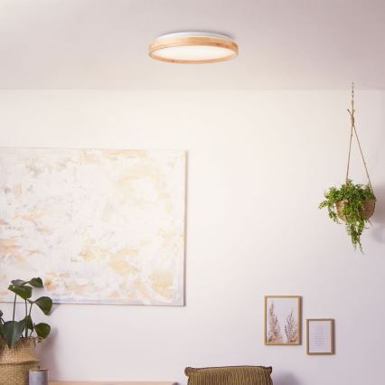 Brilliant - LED Ceiling light ALSON LED/26W/230V 3000/4500K d. 39,5 cm rubber fig