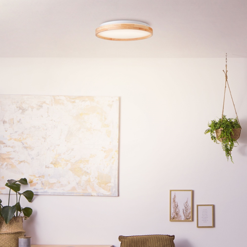 Brilliant - LED Ceiling light ALSON LED/26W/230V 3000/4500K d. 39,5 cm rubber fig