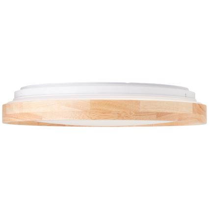 Brilliant - LED Ceiling light ALSON LED/26W/230V 3000/4500K d. 39,5 cm rubber fig
