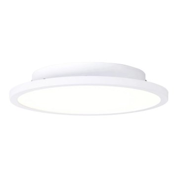 Brilliant - LED Ceiling light BUFFI LED/13W/230V d. 25 cm 2700K