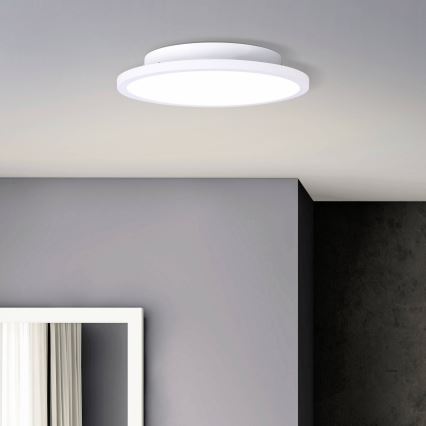 Brilliant - LED Ceiling light BUFFI LED/13W/230V d. 25 cm 2700K