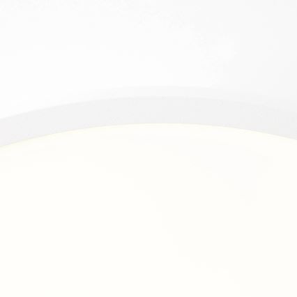 Brilliant - LED Ceiling light BUFFI LED/13W/230V d. 25 cm 2700K