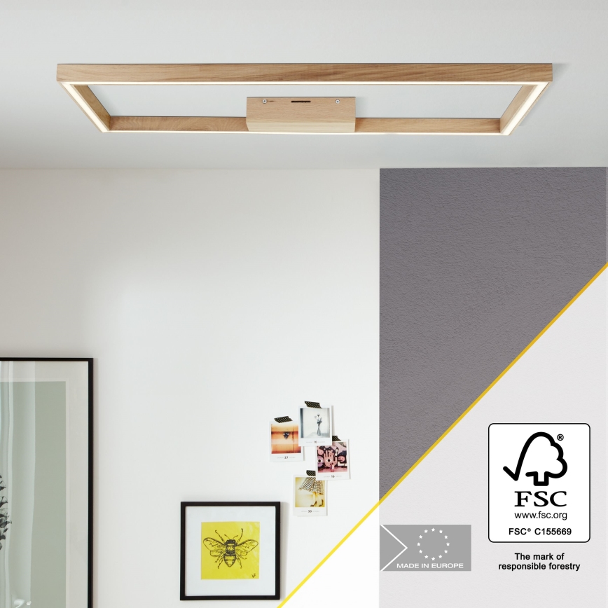 Brilliant - LED Ceiling light DELGROSSO LED/24W/230V 3000K oak