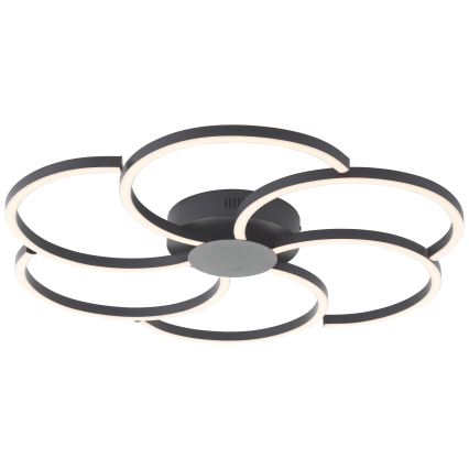 Brilliant - LED Dimmable ceiling light FICO LED/32W/230V 3000-6500K d. 65 cm black + remote control
