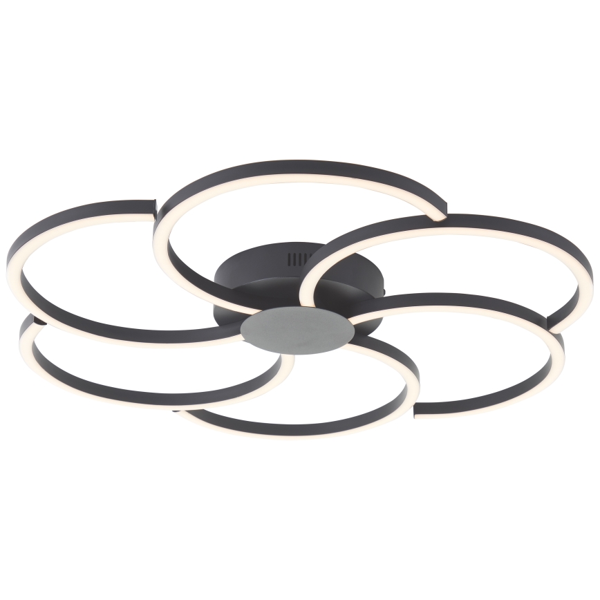 Brilliant - LED Dimmable ceiling light FICO LED/32W/230V 3000-6500K d. 65 cm black + remote control