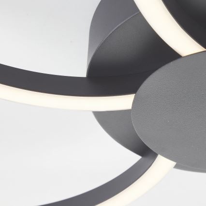 Brilliant - LED Dimmable ceiling light FICO LED/32W/230V 3000-6500K d. 65 cm black + remote control