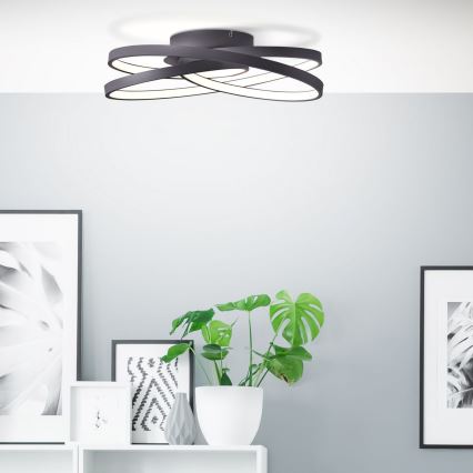 Brilliant - LED Ceiling light LABYRINTH LED/40W/230V d. 39,5 cm black