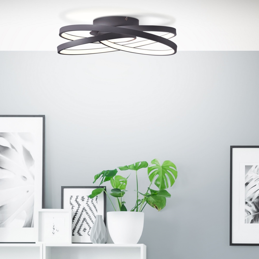 Brilliant - LED Ceiling light LABYRINTH LED/40W/230V d. 39,5 cm black
