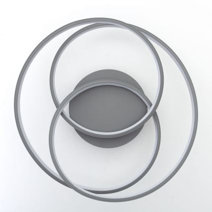 Brilliant - LED Ceiling light LABYRINTH LED/40W/230V d. 39,5 cm grey