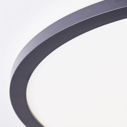 Brilliant - LED Ceiling Light MILTON LED/24W/230V Ø 42 cm Black