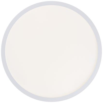 Brilliant - LED Ceiling Light MILTON LED/24W/230V Ø 42 cm white