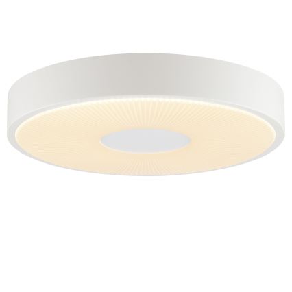 Brilliant - LED Ceiling Light RAKIN LED/18W/230V Ø 33.5 cm white
