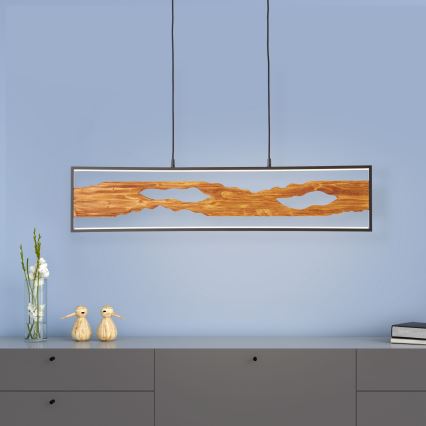 Brilliant - LED Chandelier on a string CHAUMONT LED/20W/230V pine