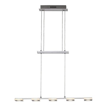 Brilliant - LED Chandelier on a string TRANSIT 5xLED/4W/230V