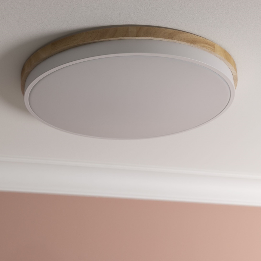Brilliant - LED Dimmable ceiling light BAARLO LED/36W/230V 3000-6500K d. 50 cm white/rubber fig + remote control - FSC certified