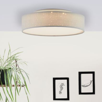 Brilliant - LED Dimmable ceiling light BASKA LED/12W/230V d. 38 cm 3000K