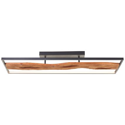 Brilliant - LED Dimmable ceiling light CHAUMONT LED/48W/230V rubber fig