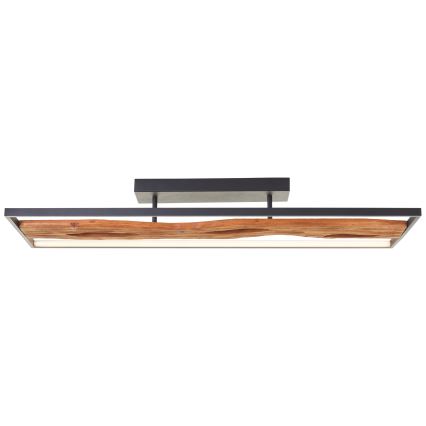 Brilliant - LED Dimmable ceiling light CHAUMONT LED/48W/230V rubber fig