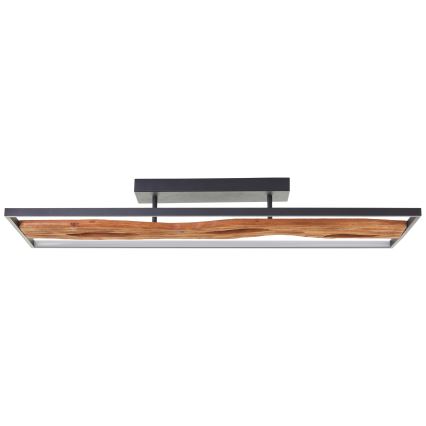 Brilliant - LED Dimmable ceiling light CHAUMONT LED/48W/230V rubber fig