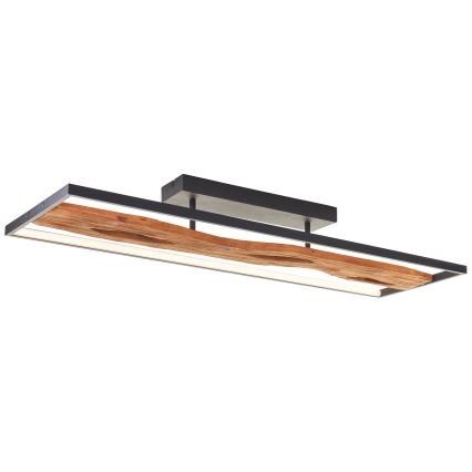 Brilliant - LED Dimmable ceiling light CHAUMONT LED/48W/230V rubber fig