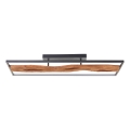 Brilliant - LED Dimmable ceiling light CHAUMONT LED/48W/230V rubber fig