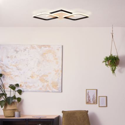 Brilliant - LED Dimmable ceiling light DENNET LED/40W/230V 3000K 62x62 cm