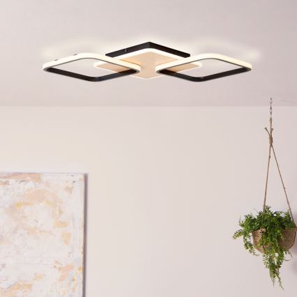 Brilliant - LED Dimmable ceiling light DENNET LED/40W/230V 3000K 62x62 cm