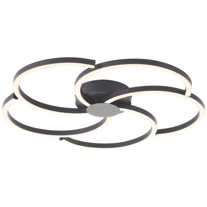 Brilliant - LED Dimmable ceiling light FICO LED/32W/230V d. 57 cm black