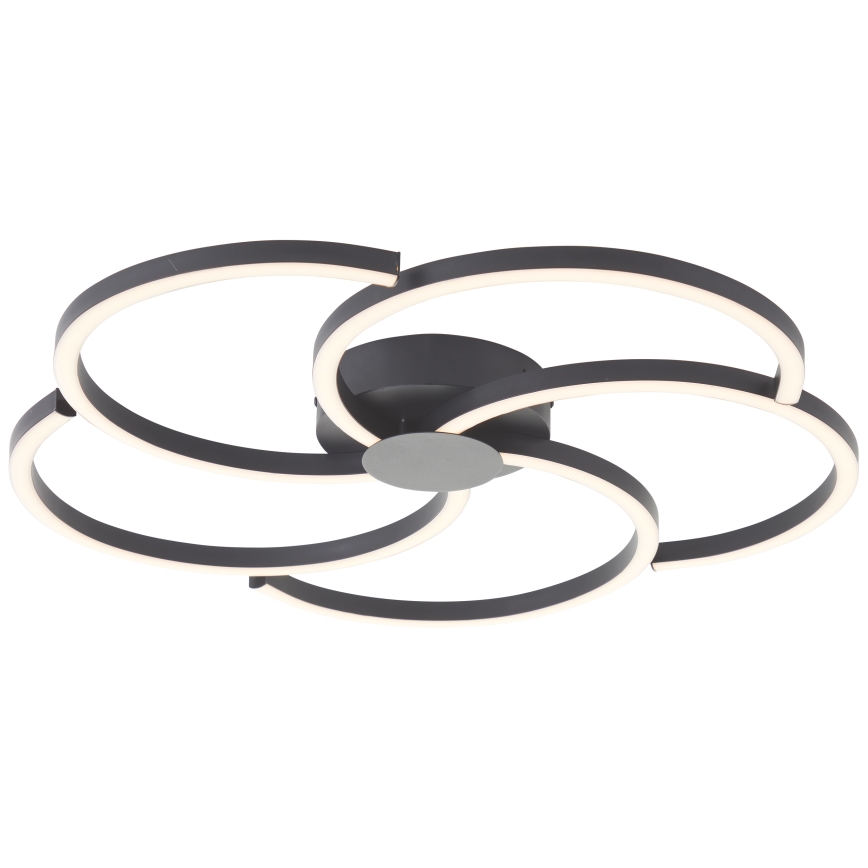 Brilliant - LED Dimmable ceiling light FICO LED/32W/230V d. 57 cm black