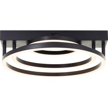 Brilliant - LED Dimmable Ceiling Light PEDLEY LED/36W/230V Black