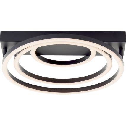 Brilliant - LED Dimmable Ceiling Light PEDLEY LED/36W/230V Black