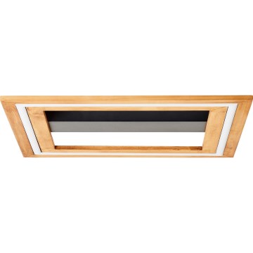 Brilliant - LED Dimmable ceiling light RHEA LED/24W/230V 3000K 45x45 cm - FSC certified