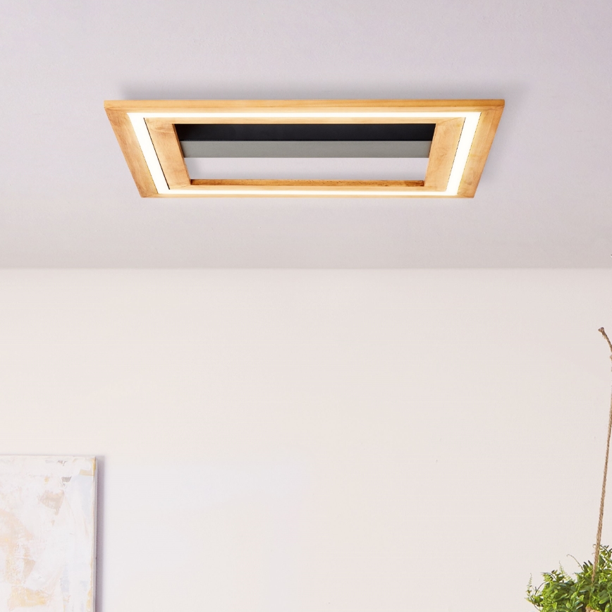 Brilliant - LED Dimmable ceiling light RHEA LED/24W/230V 3000K 45x45 cm - FSC certified