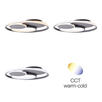 Brilliant - LED Dimmable ceiling light RUNDA LED/50W/230V 3000-6500K black + remote control