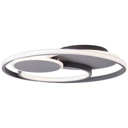 Brilliant - LED Dimmable ceiling light RUNDA LED/50W/230V 3000-6500K black + remote control