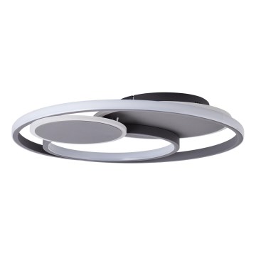 Brilliant - LED Dimmable ceiling light RUNDA LED/50W/230V 3000-6500K black + remote control