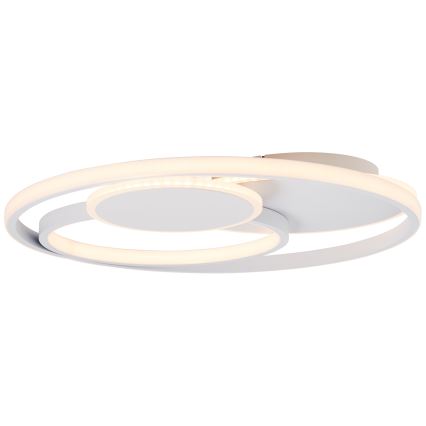 Brilliant - LED Dimmable ceiling light RUNDA LED/50W/230V 3000-6500K white + remote control