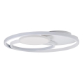 Brilliant - LED Dimmable ceiling light RUNDA LED/50W/230V 3000-6500K white + remote control