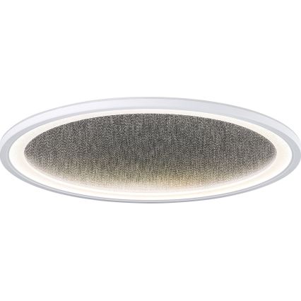 Brilliant - LED Dimmable ceiling light TANIDA LED/31W/230V 3000-6500K + remote control