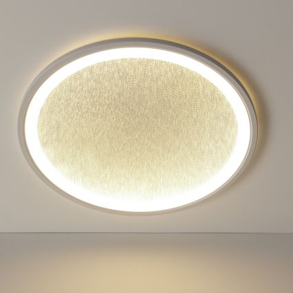 Brilliant - LED Dimmable ceiling light TANIDA LED/31W/230V 3000-6500K + remote control