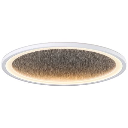 Brilliant - LED Dimmable ceiling light TANIDA LED/31W/230V 3000-6500K + remote control