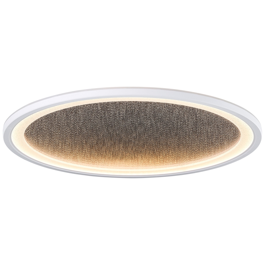 Brilliant - LED Dimmable ceiling light TANIDA LED/31W/230V 3000-6500K + remote control