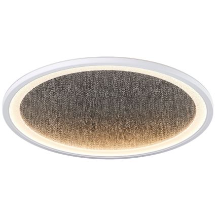 Brilliant - LED Dimmable ceiling light TANIDA LED/31W/230V 3000-6500K + remote control