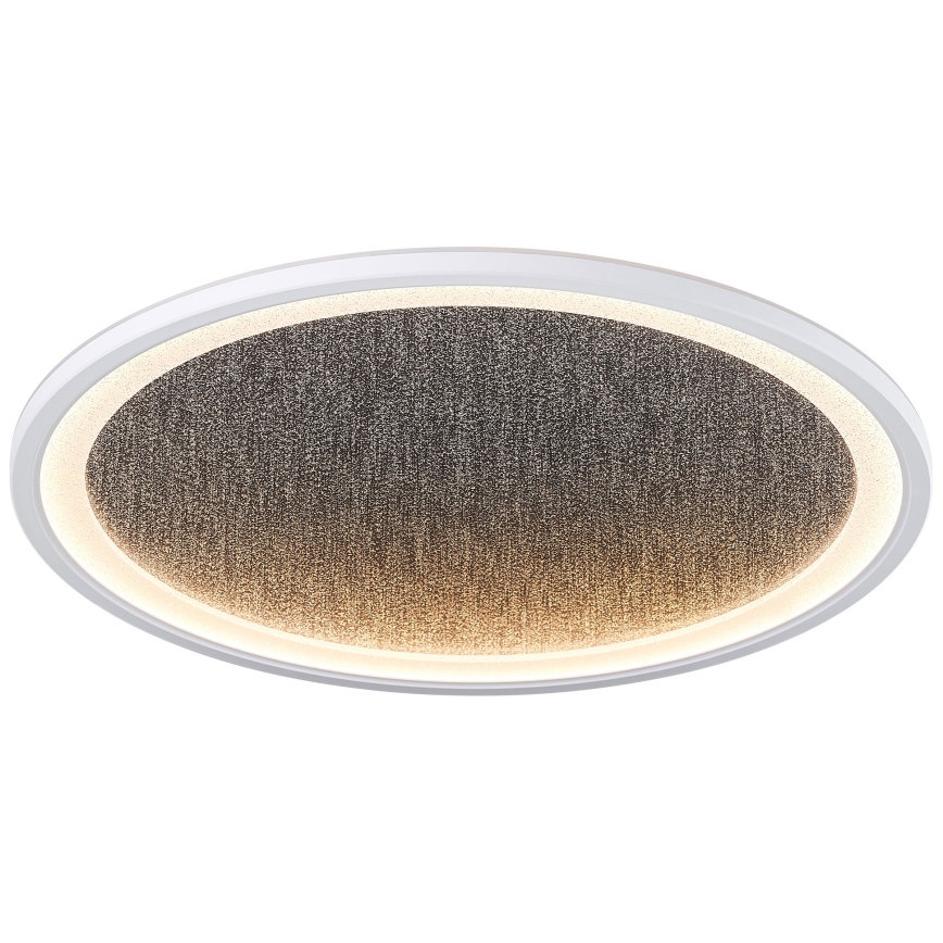 Brilliant - LED Dimmable ceiling light TANIDA LED/31W/230V 3000-6500K + remote control