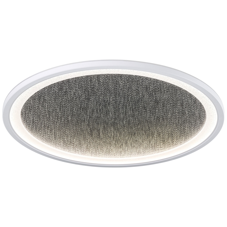 Brilliant - LED Dimmable ceiling light TANIDA LED/31W/230V 3000-6500K + remote control