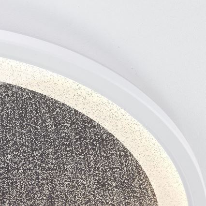 Brilliant - LED Dimmable ceiling light TANIDA LED/31W/230V 3000-6500K + remote control