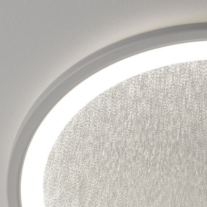 Brilliant - LED Dimmable ceiling light TANIDA LED/31W/230V 3000-6500K + remote control