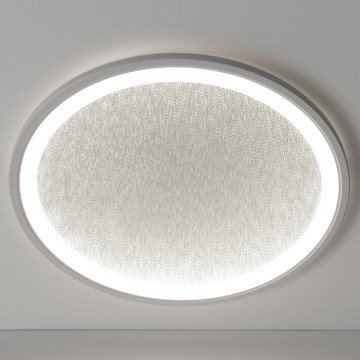 Brilliant - LED Dimmable ceiling light TANIDA LED/31W/230V 3000-6500K + remote control
