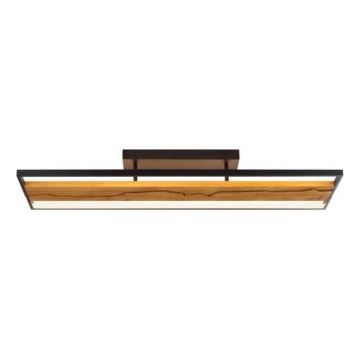 Brilliant - LED Dimmable Ceiling Light THUNDER LED/42W/230V Pine