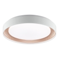 Brilliant - LED Dimmable Ceiling Light WALDO LED/24W/230V 3000-6500K Ø 38.5 cm white/rose gold + remote control